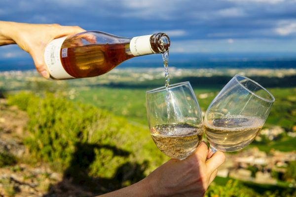 A person pouring white wine into two glasses with a scenic landscape in the background.