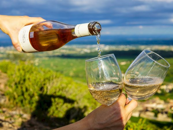 A person pouring white wine into two glasses with a scenic landscape in the background.