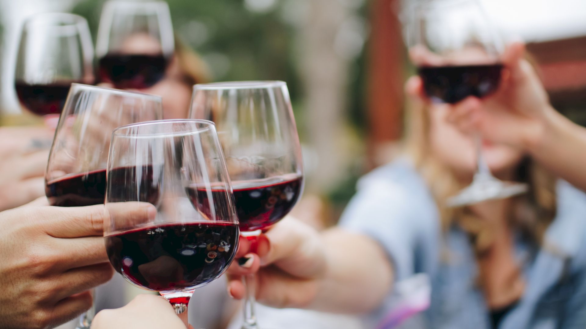 A group of people are raising glasses of red wine in a toast, with blurred background and a focus on the wine glasses.